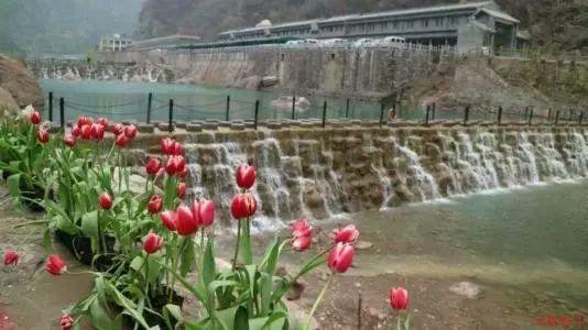 全民剧本大师内置菜单