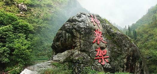 终于等到你！泰山队即将官宣五大新援加盟，亚冠淘汰赛或携手首秀
